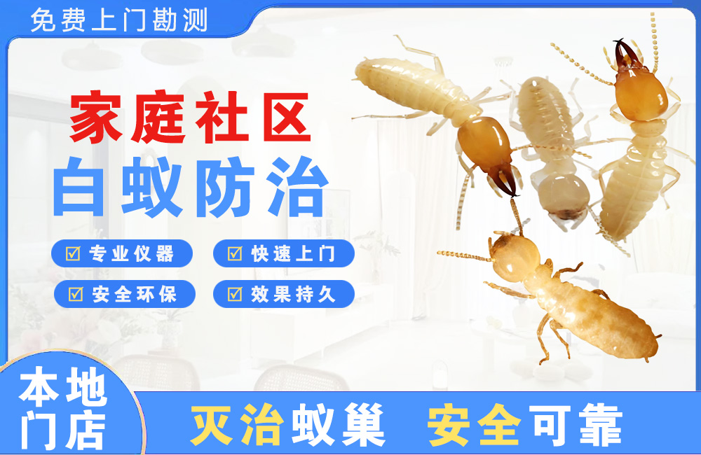 清镇家庭社区白蚁防治