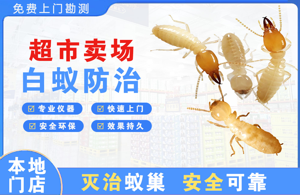 清镇超市卖场白蚁防治