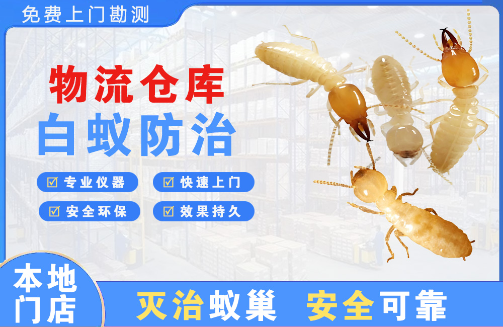 清镇物流仓库白蚁防治