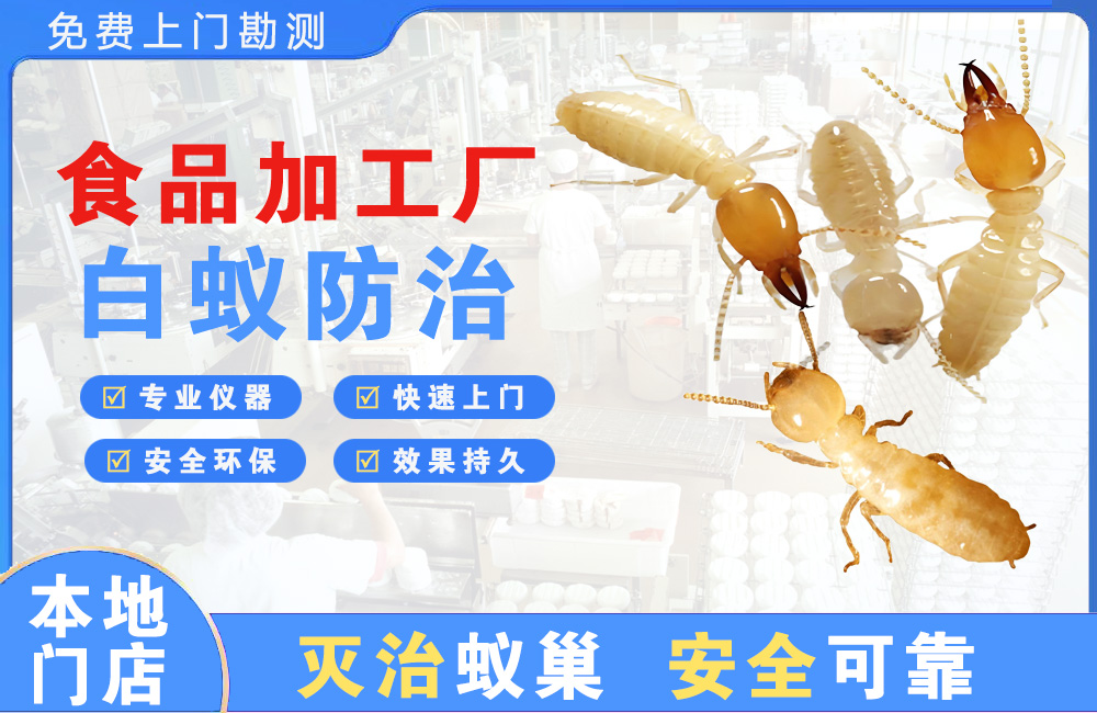 清镇食品加工厂白蚁防治