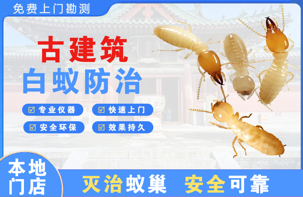 清镇古建筑白蚁防治