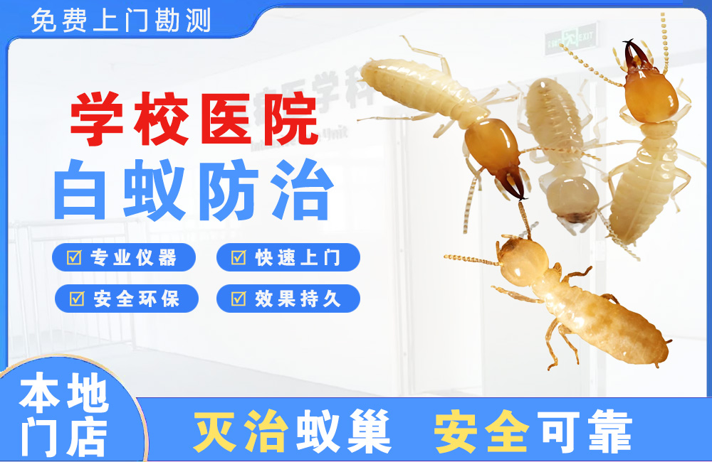 清镇学校医院白蚁防治