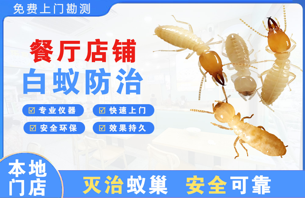 清镇餐厅店铺白蚁防治